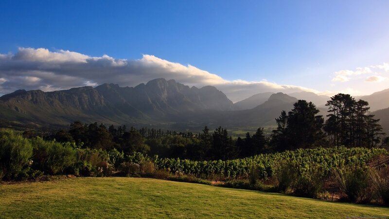Vineyard with Mountains — Green, Serene, Afternoon, Photograph, Trees, Clouds, Blue