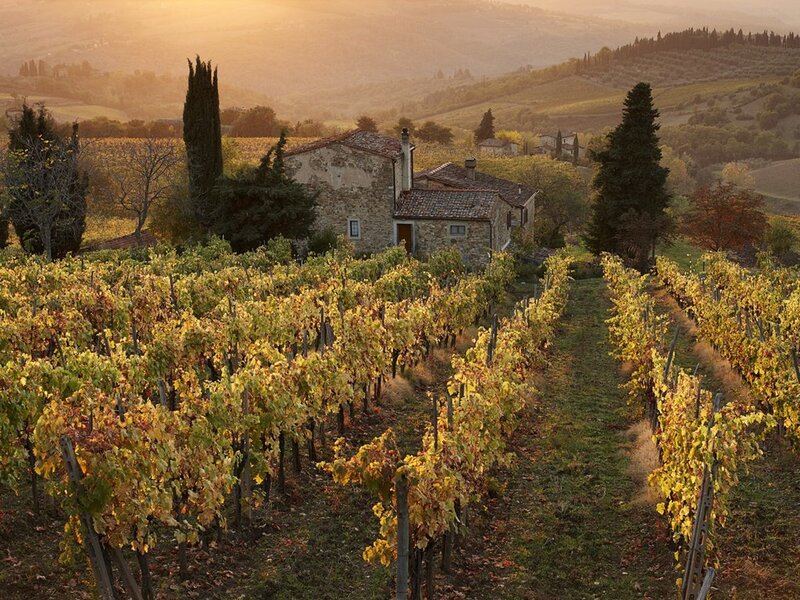 Vineyard with Stone House
