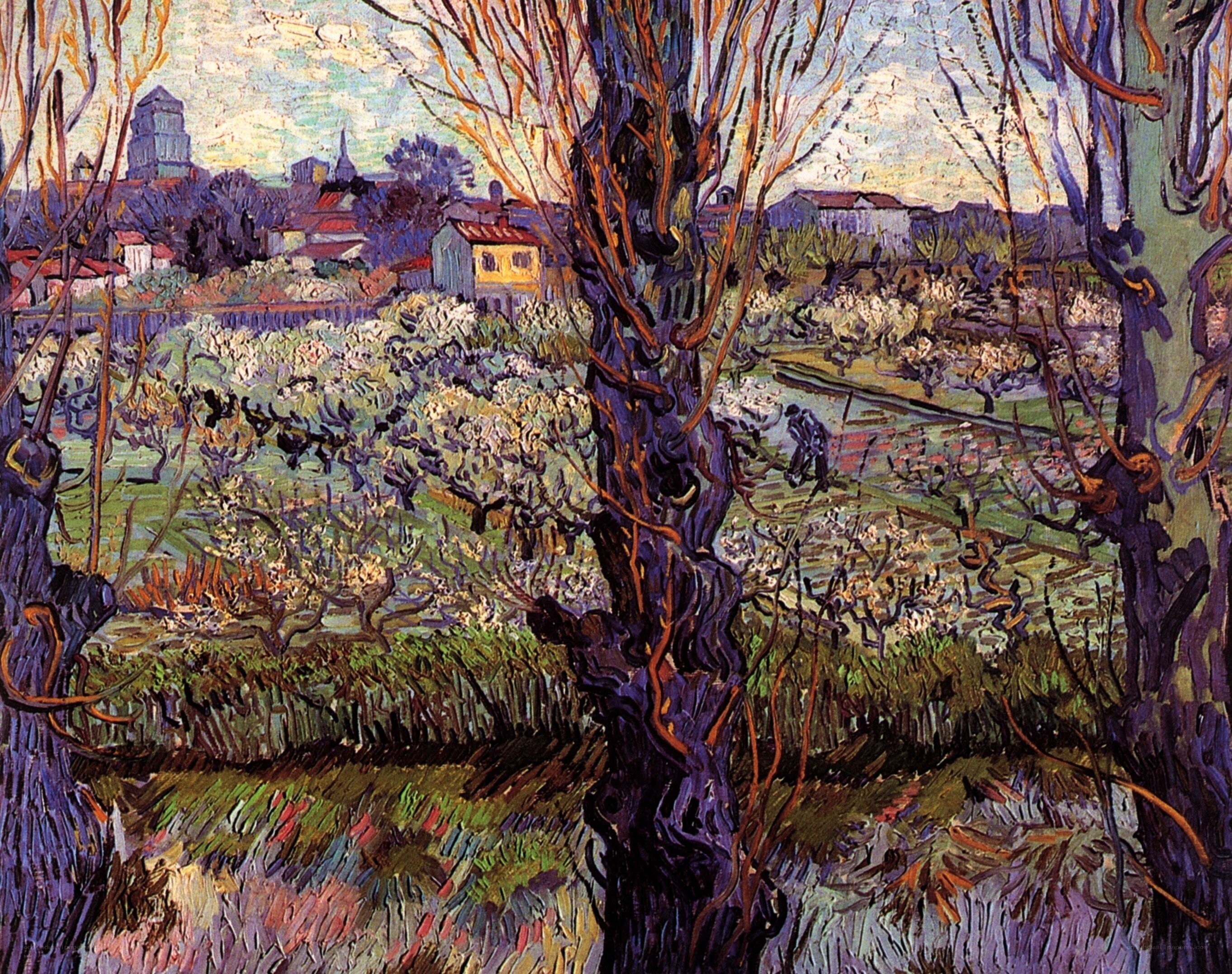 Vineyard with Town View