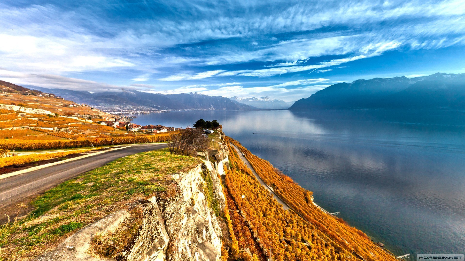 vineyards along a lake