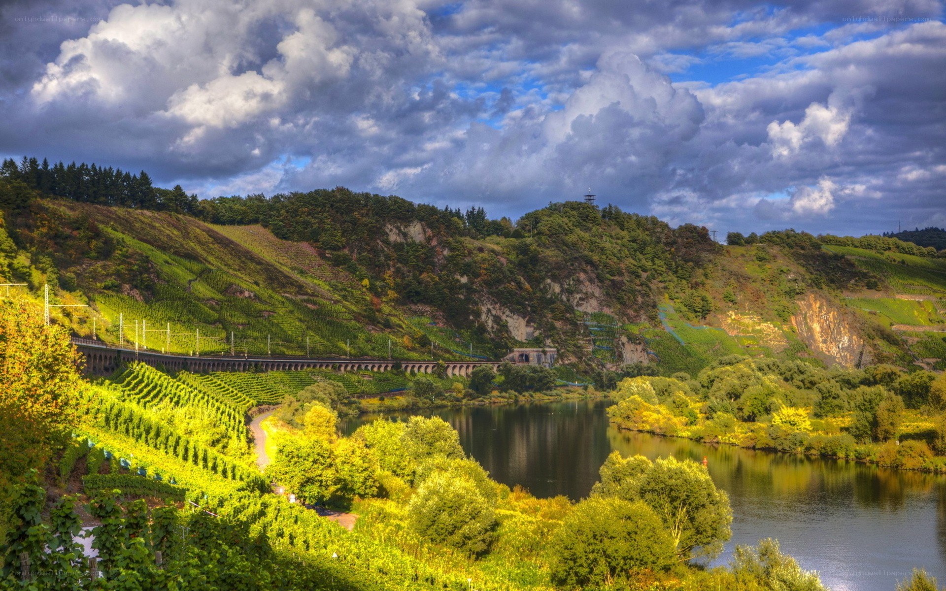 Vineyards along a river valley