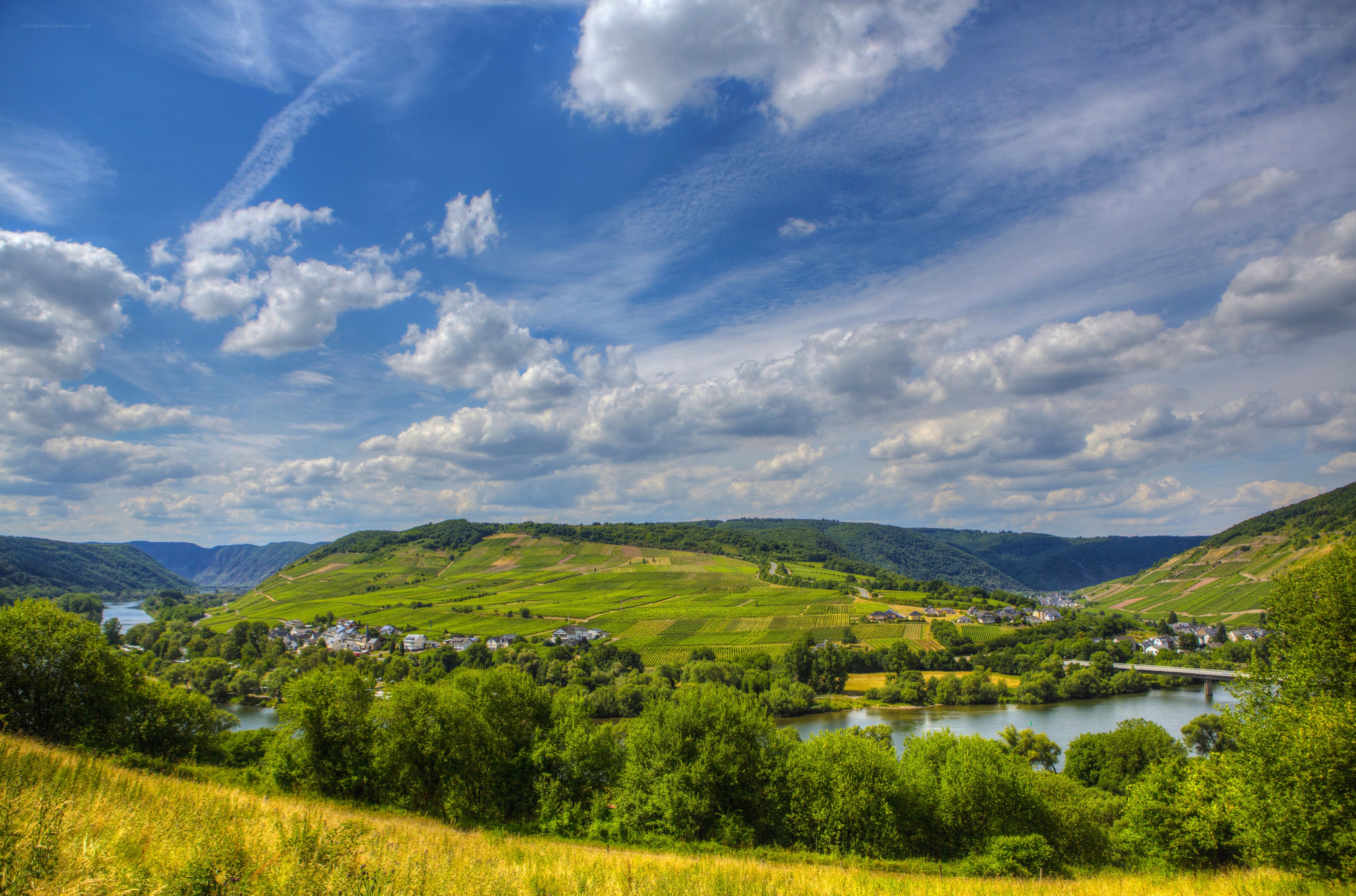 vineyards along a river valley