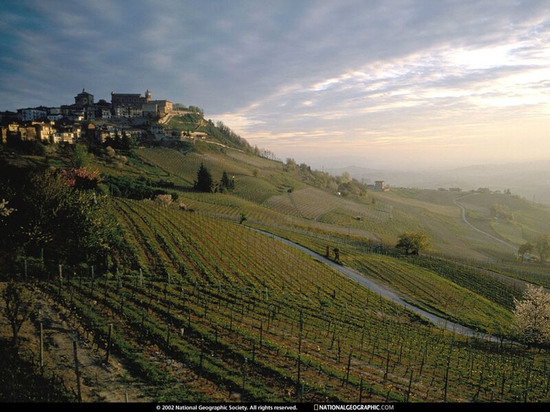 Vineyards and hilltop town