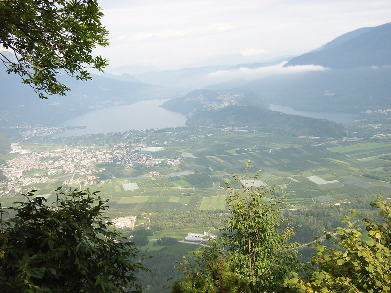 Vineyards and Lake Landscape