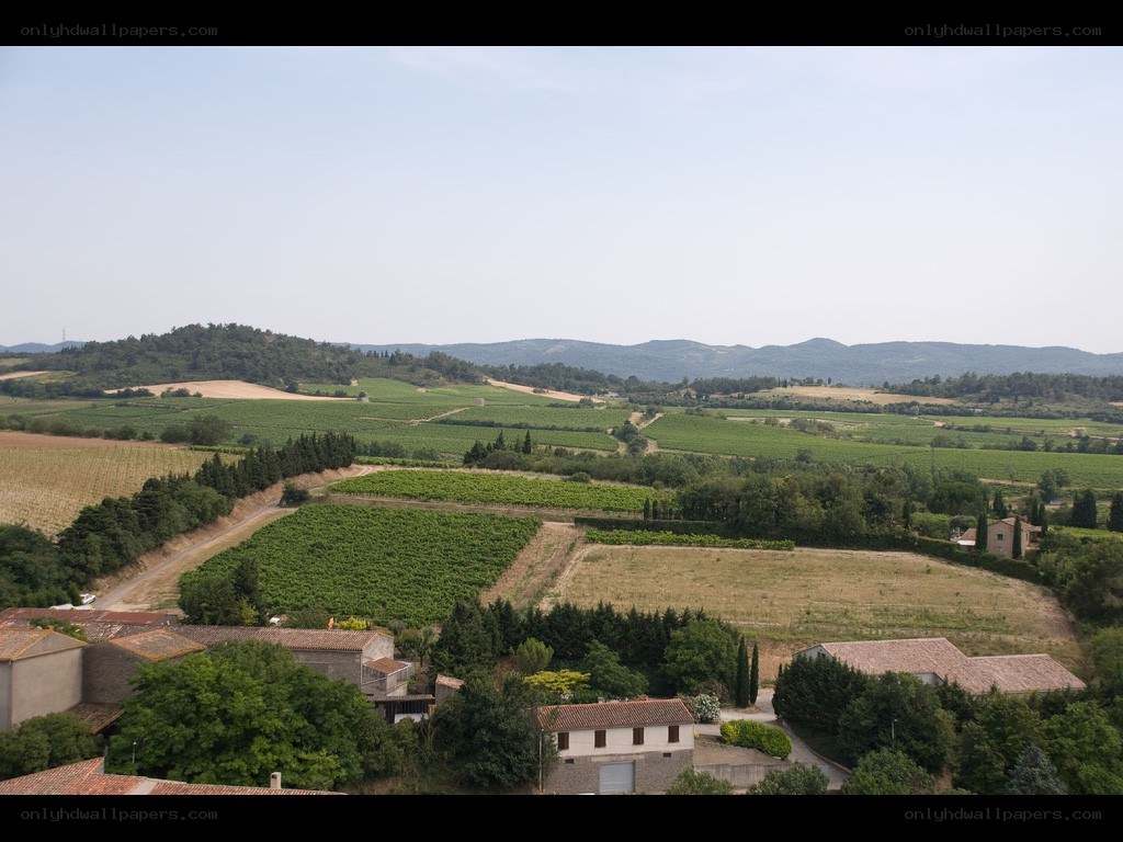 vineyards and rolling hills