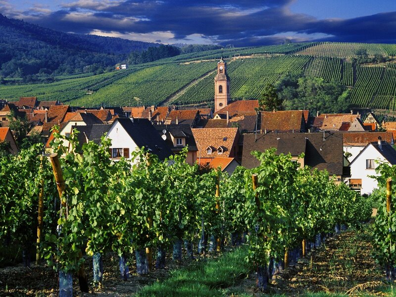 Vineyards and village in Alsace