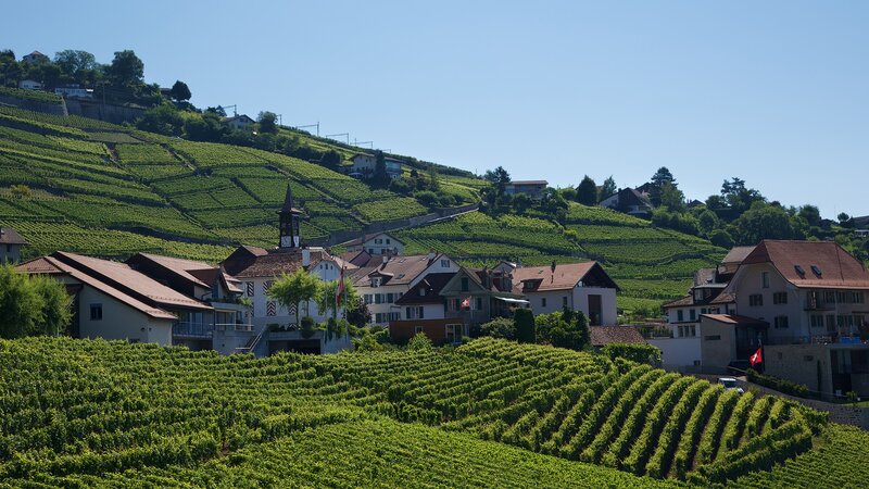 Vineyards and village in Switzerland