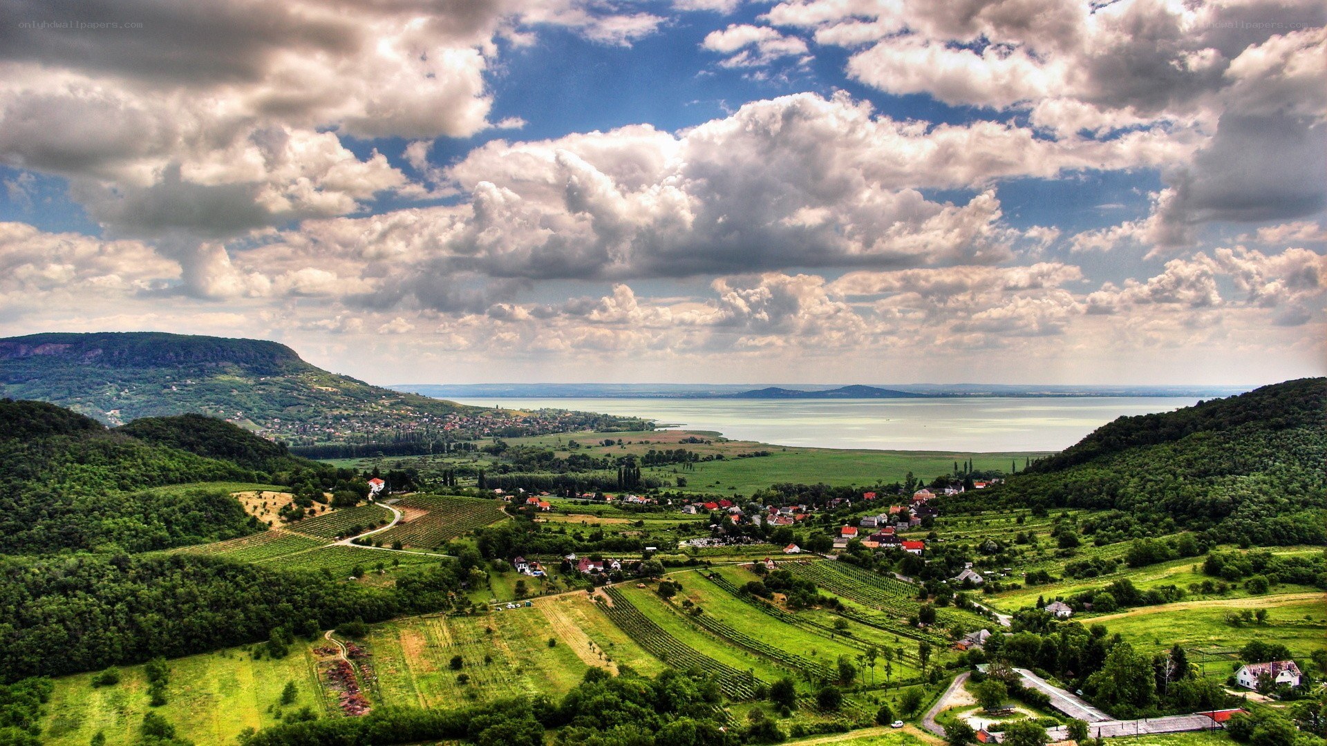 Vineyards by a lake