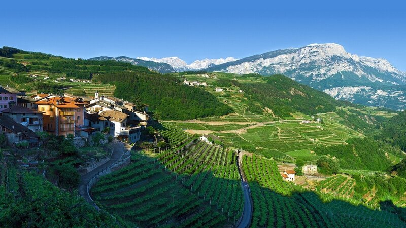 Vineyards on Hillsides — Green