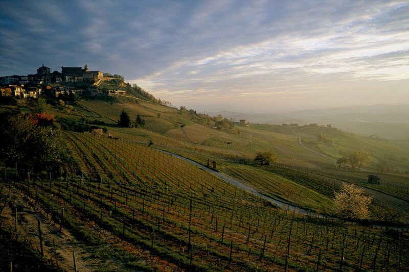 Vineyards overlooking a hilltop town