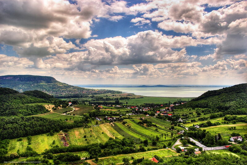 Vineyards overlooking a lake