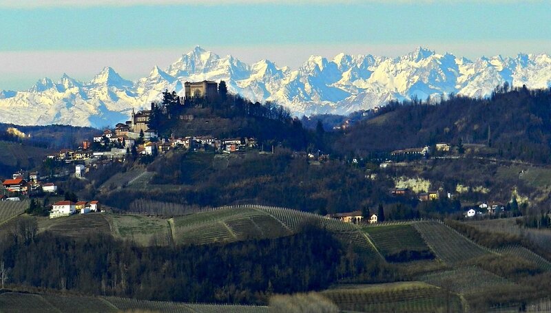 Vineyards with mountain backdrop