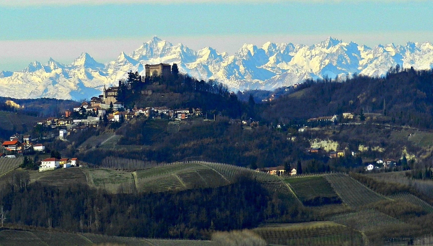 Vineyards with mountain backdrop