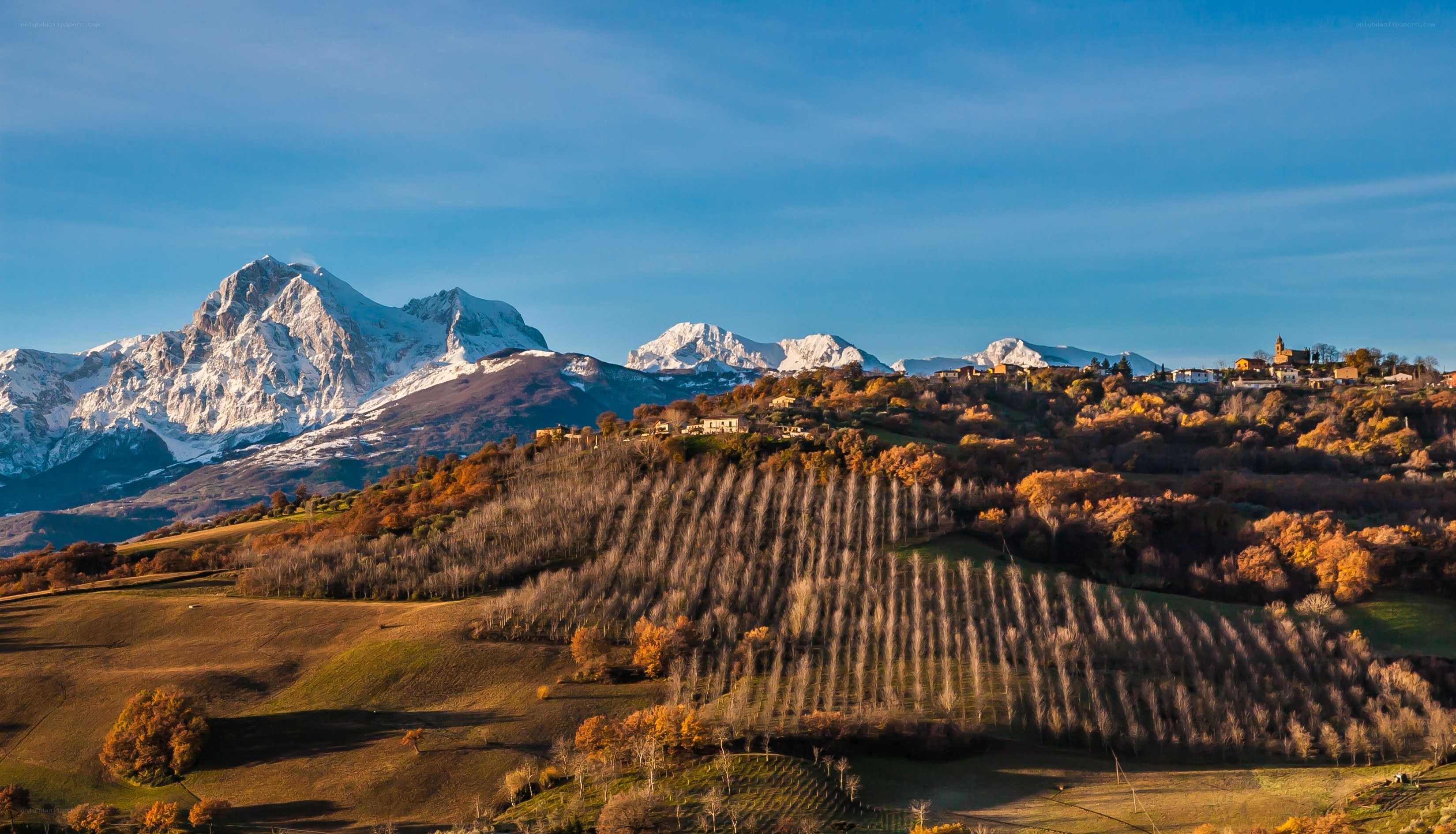 Vineyards with snow-capped mountains
