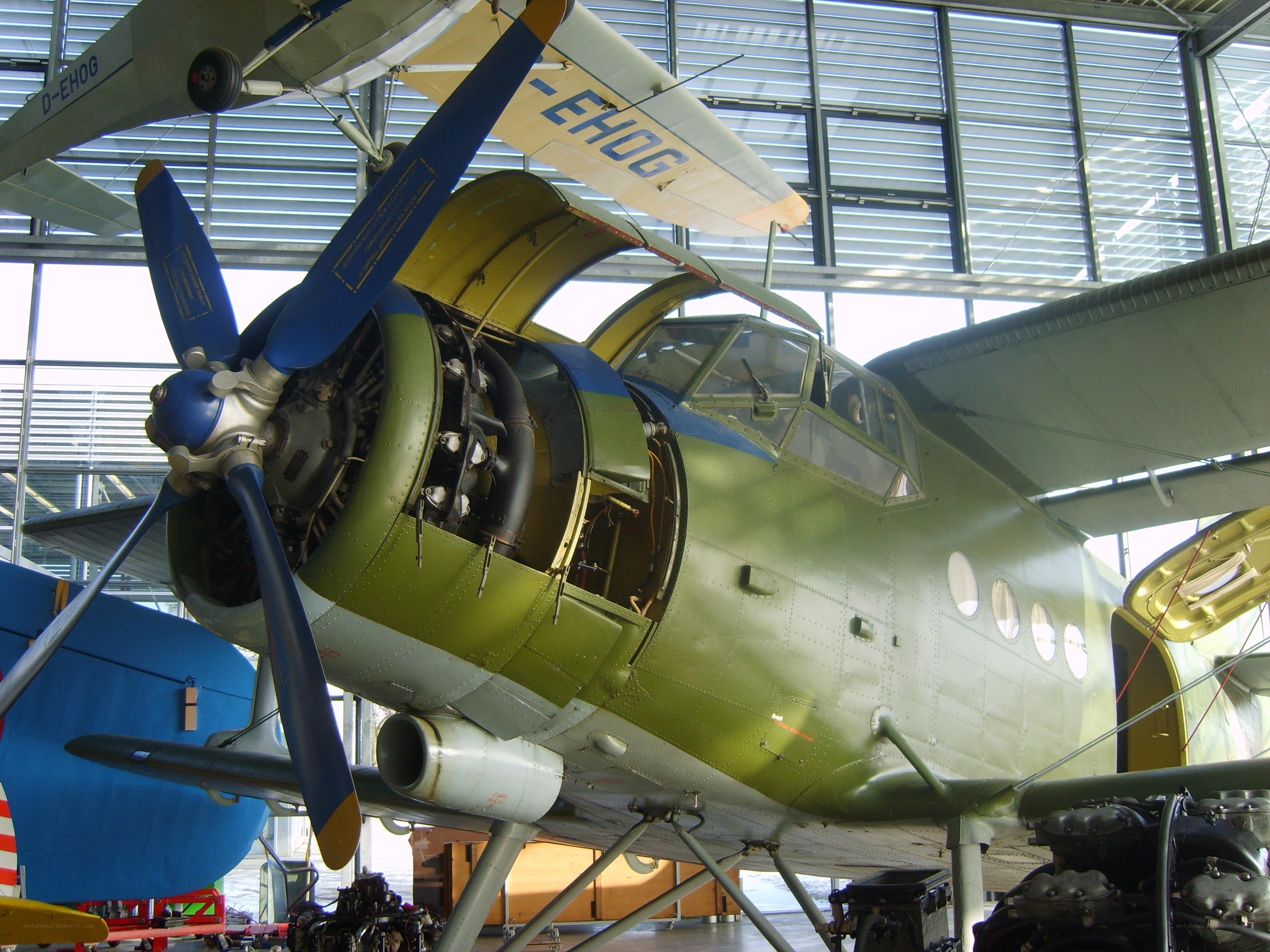 Vintage aircraft on display