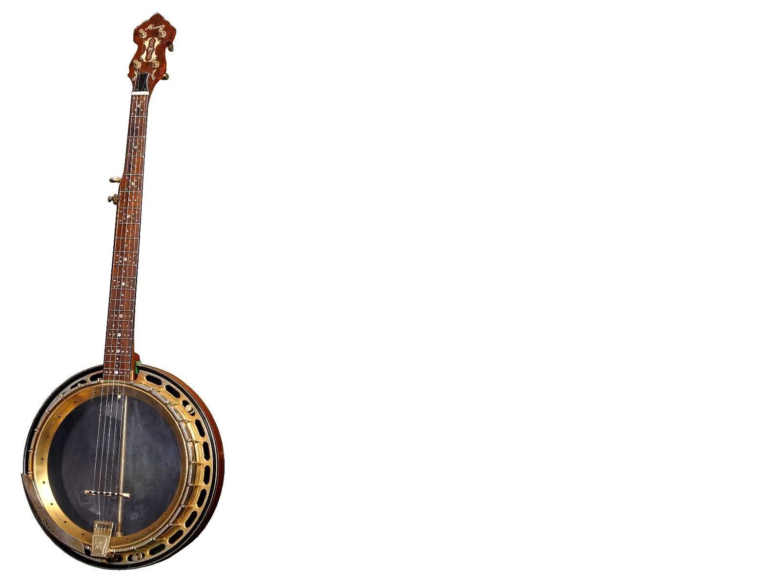 Vintage banjo instrument