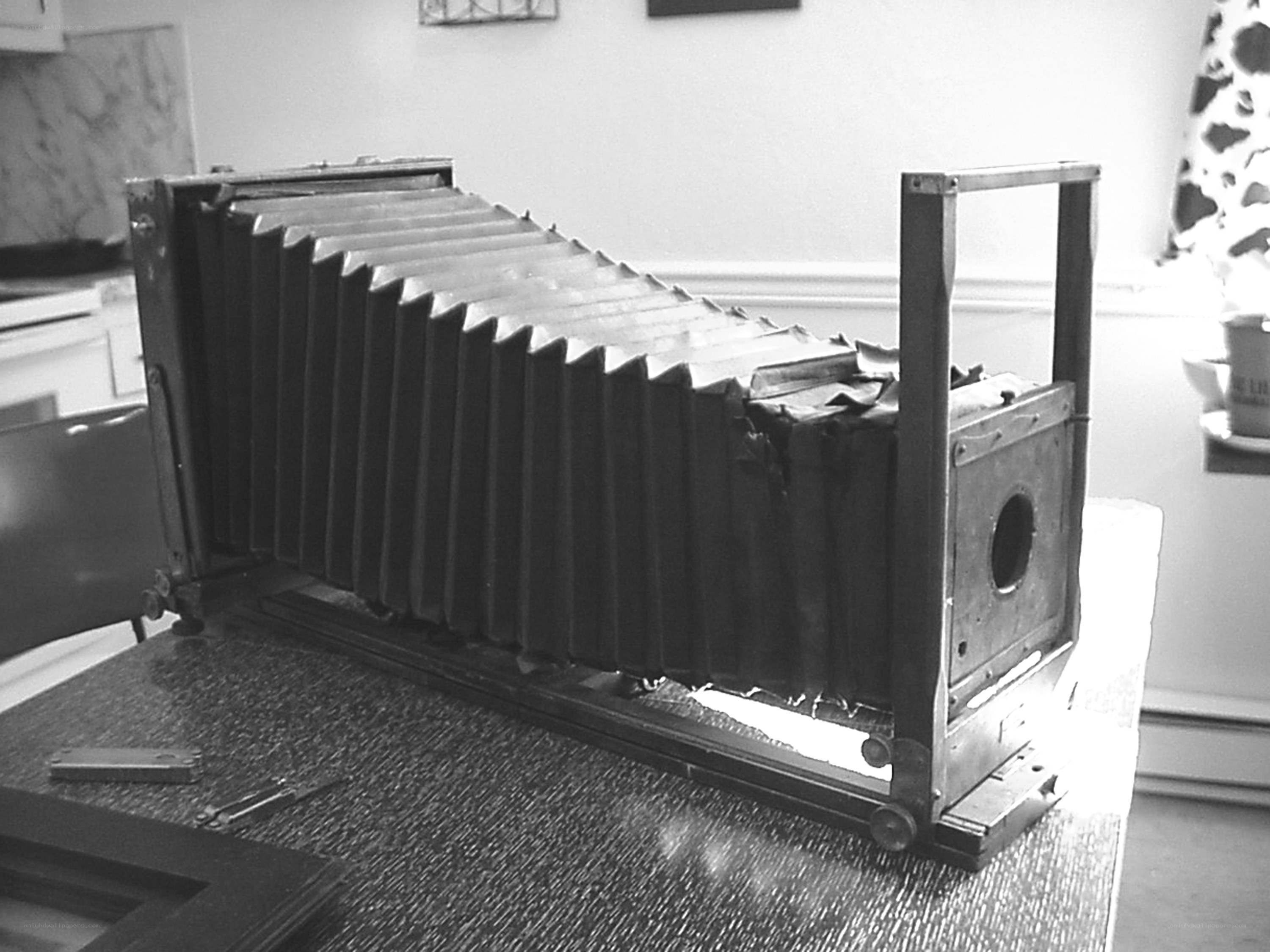 Vintage bellows camera on table
