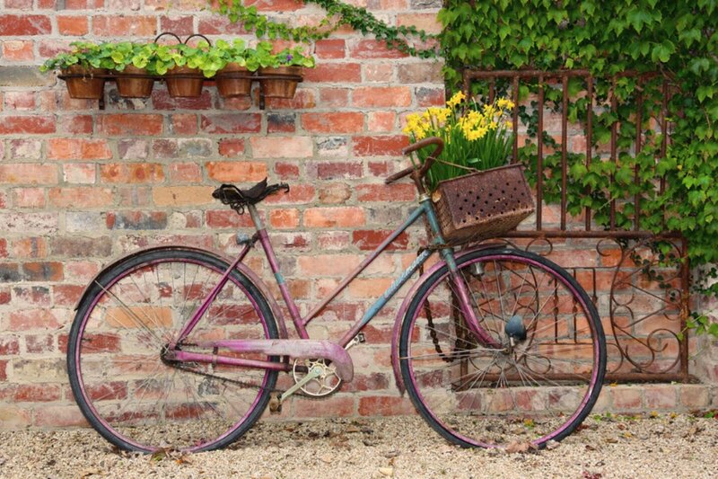 Vintage Bicycle Against Wall — Purple