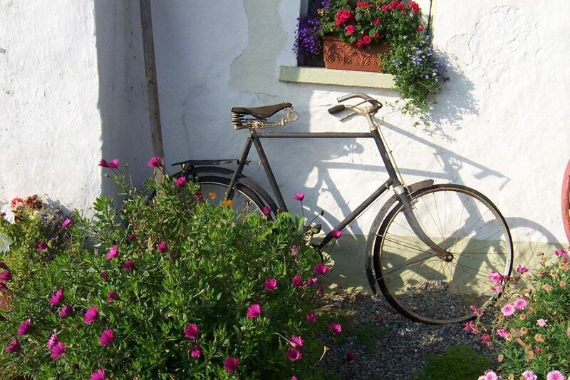 Vintage Bicycle Against Wall