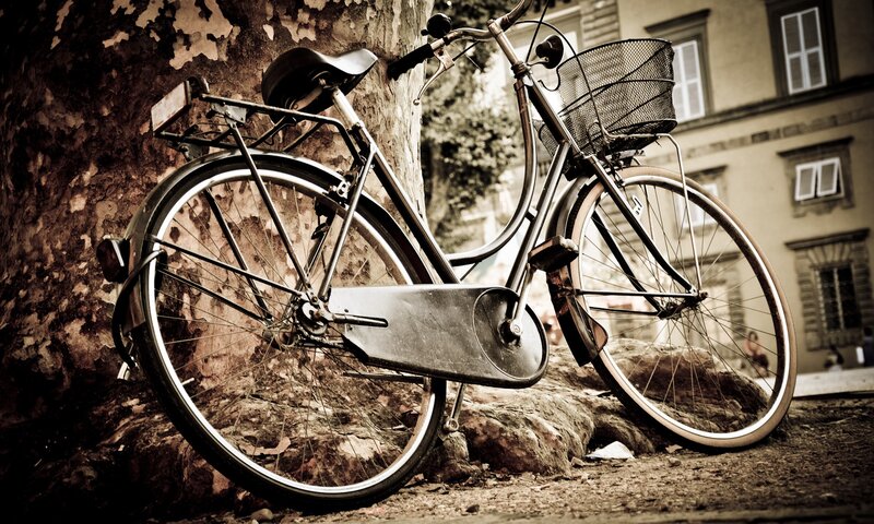 vintage bicycle by tree