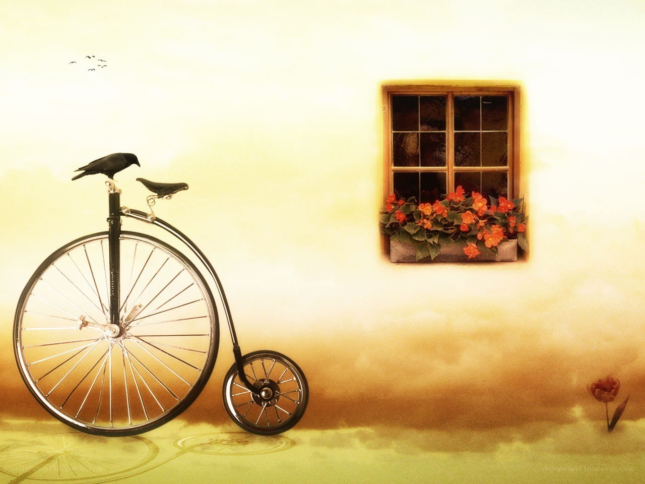 Vintage bicycle by window