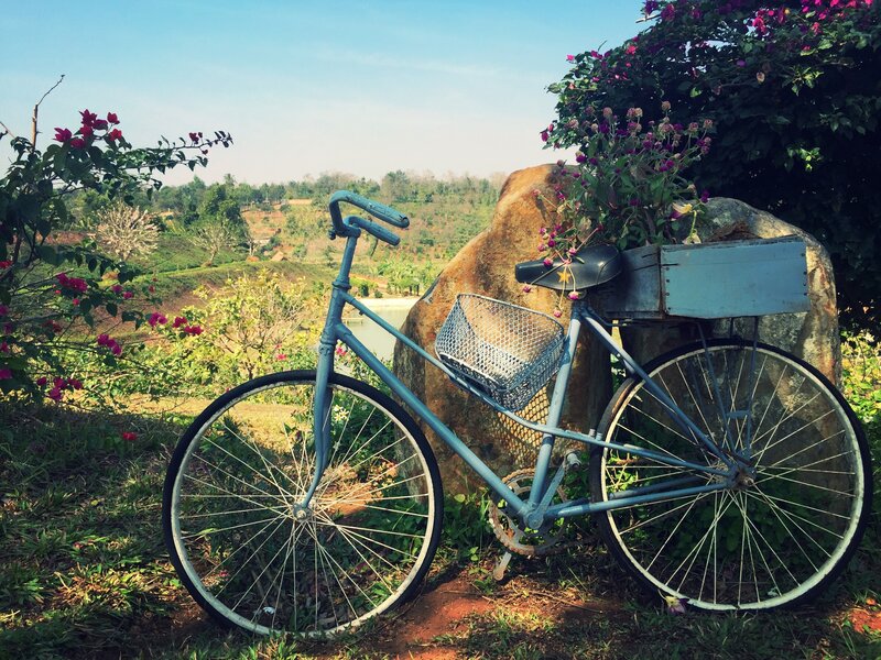 Vintage bicycle in garden
