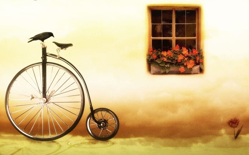 Vintage bicycle with crow and flowers