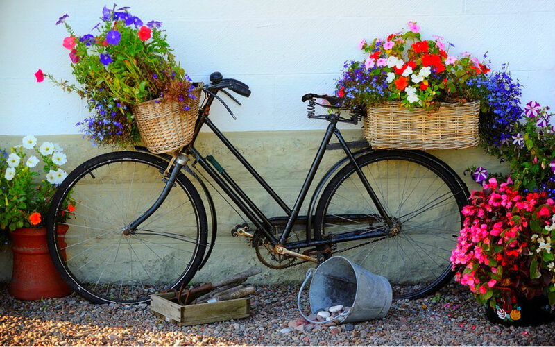 Vintage Bicycle with Flowers — Black