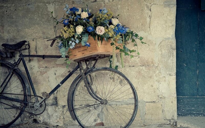 Vintage Bicycle with Flowers — Blue, Serene