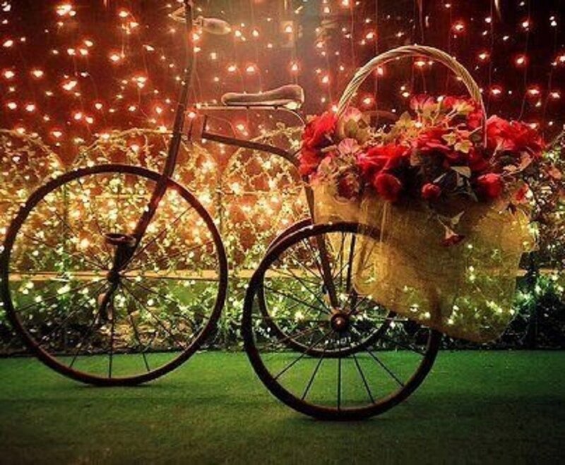 Vintage Bicycle with Flowers