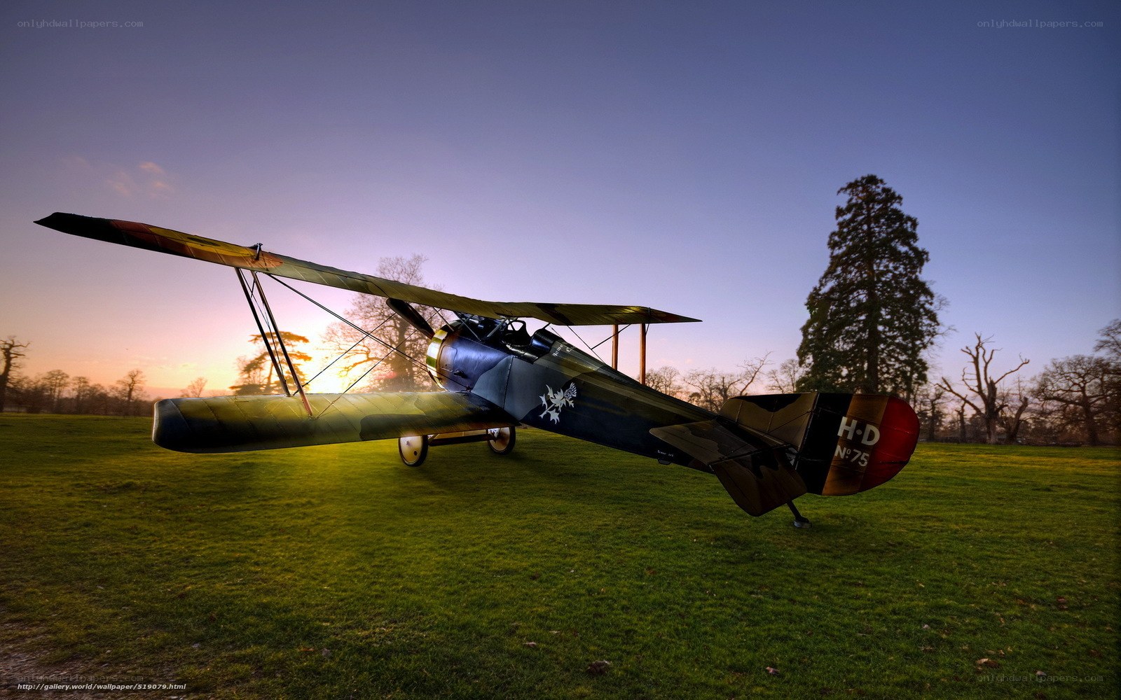 vintage biplane at sunset