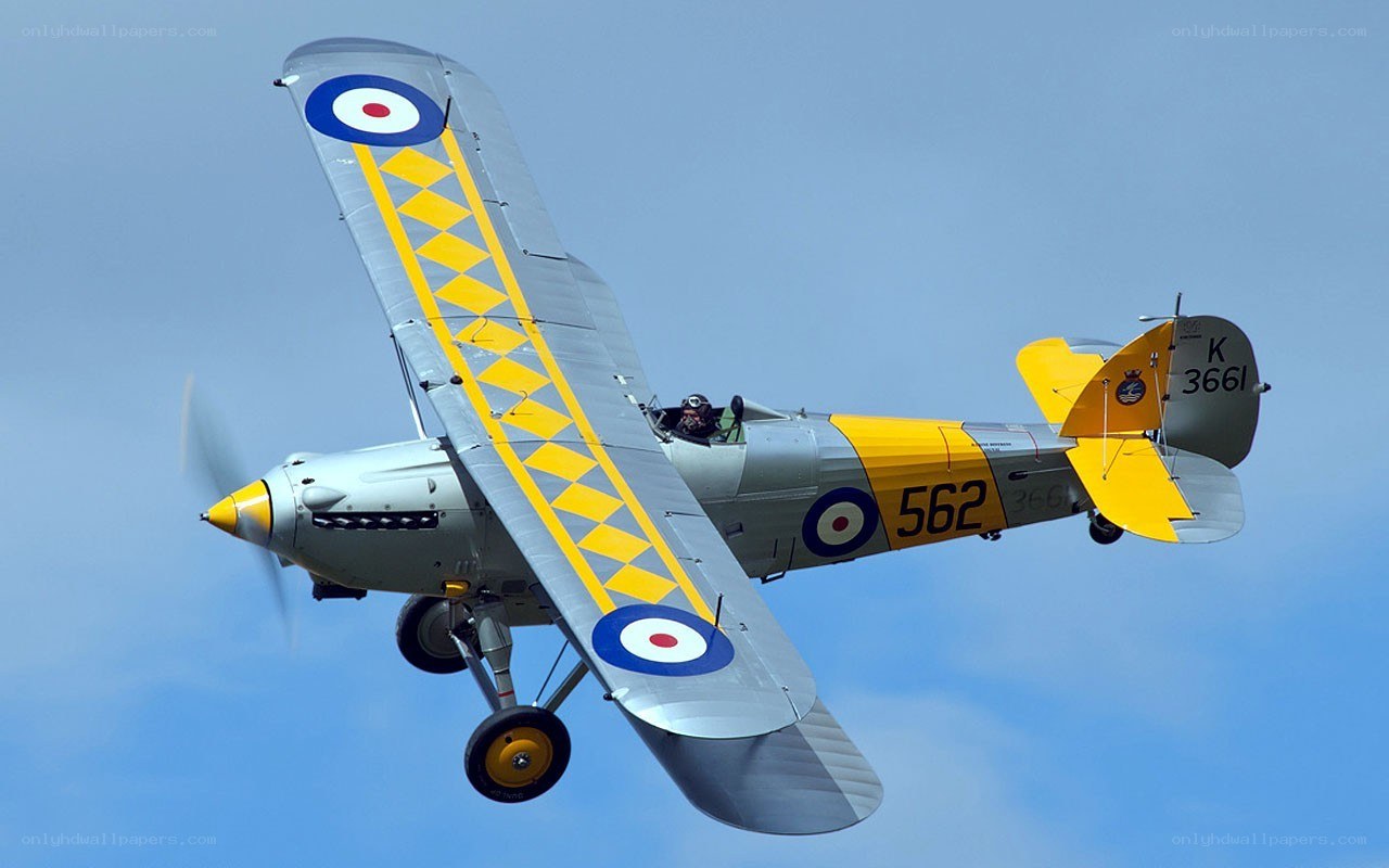 Vintage biplane in flight