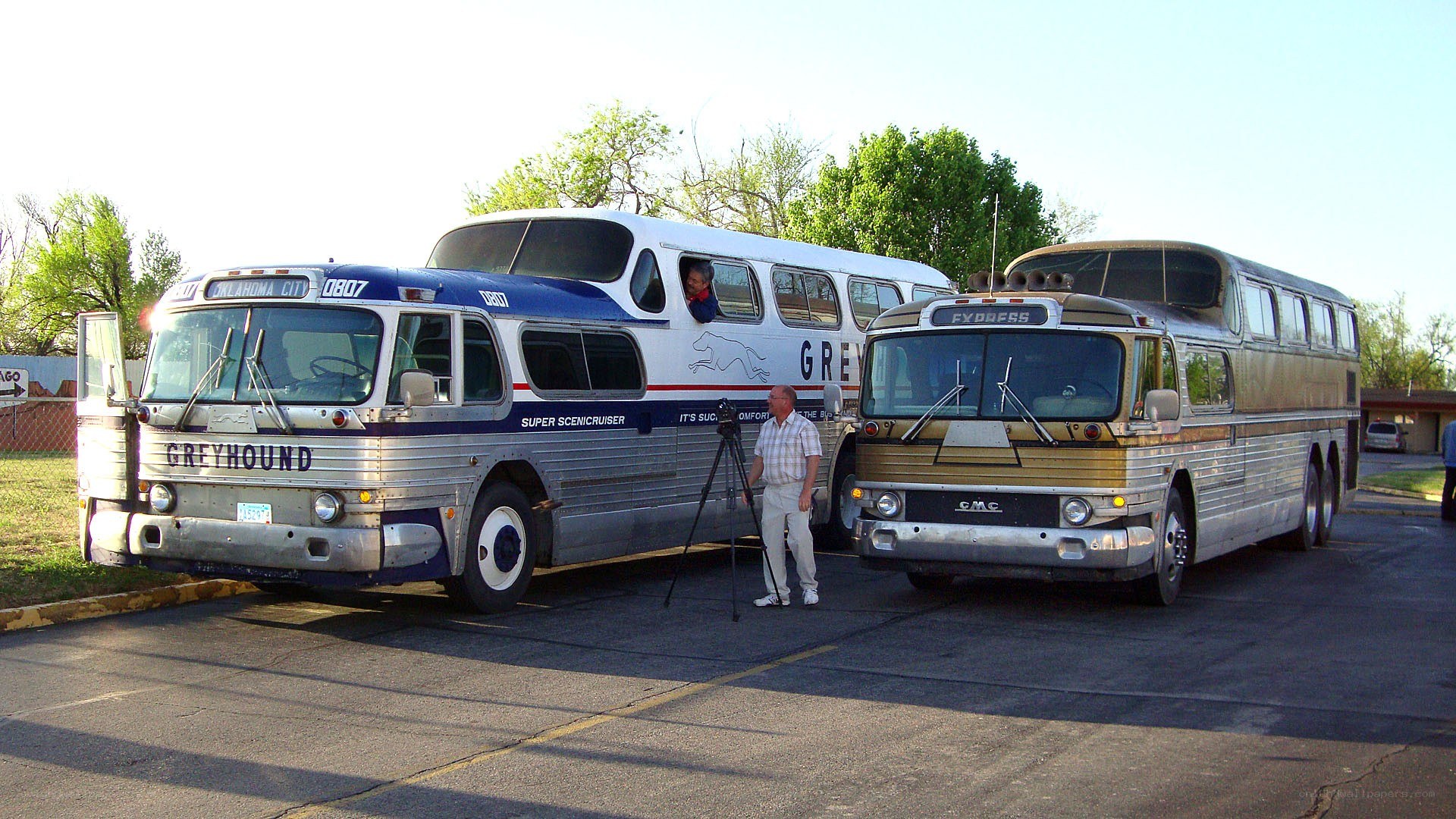 Vintage buses on display