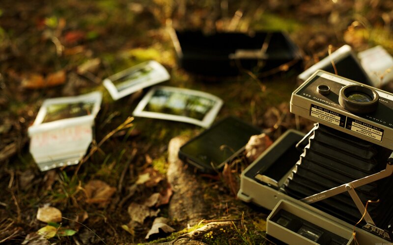 Vintage camera and photos in forest