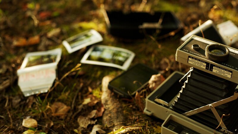 Vintage camera and photos in forest