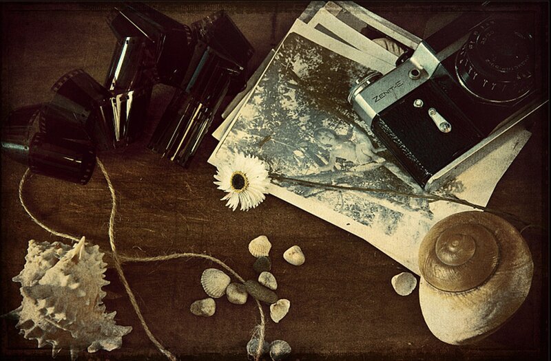 Vintage Camera and Shells