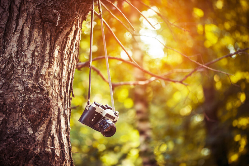 Vintage Camera Hanging — Brown