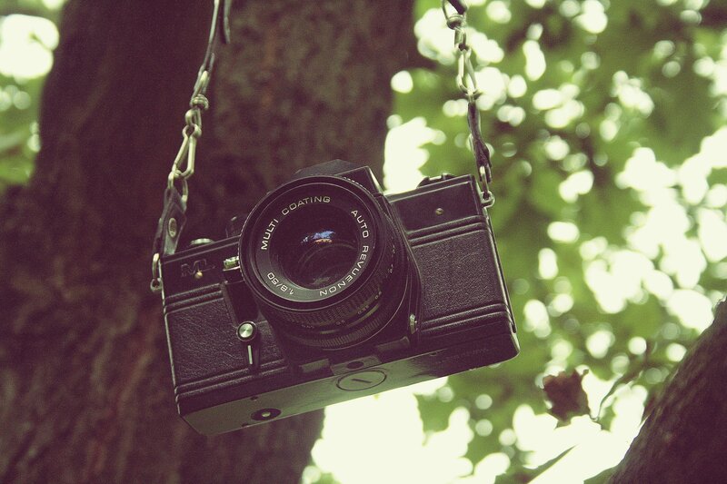 vintage camera hanging from a tree
