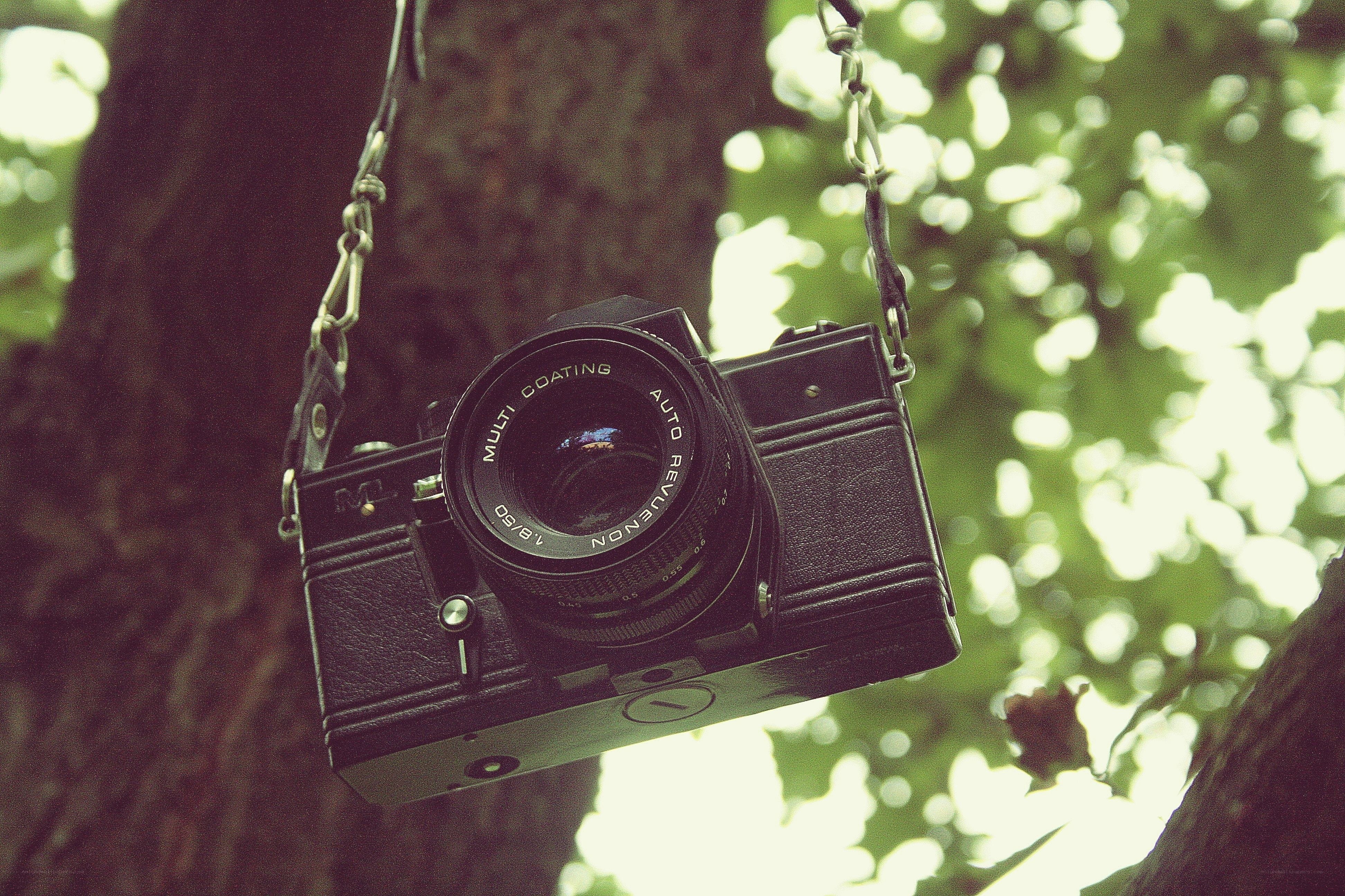 vintage camera hanging from a tree