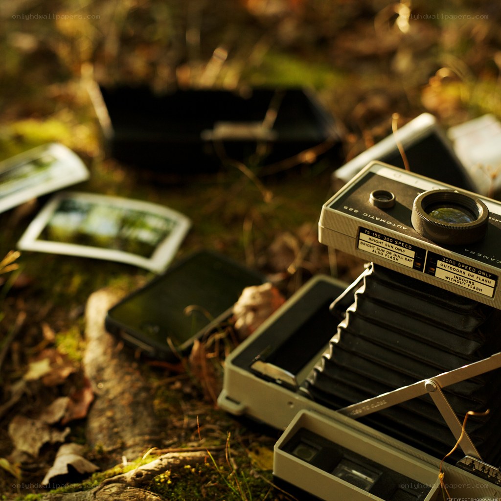 Vintage camera in forest