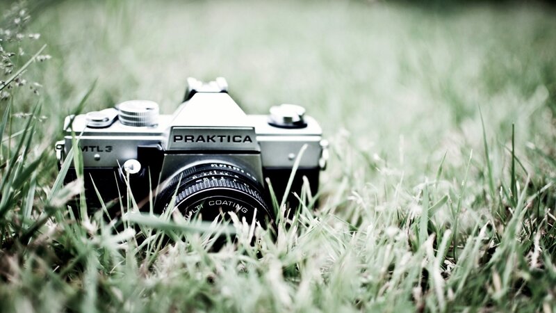 Vintage Camera in Grass — Green, Serene