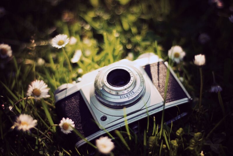 Vintage Camera in Grass — Green