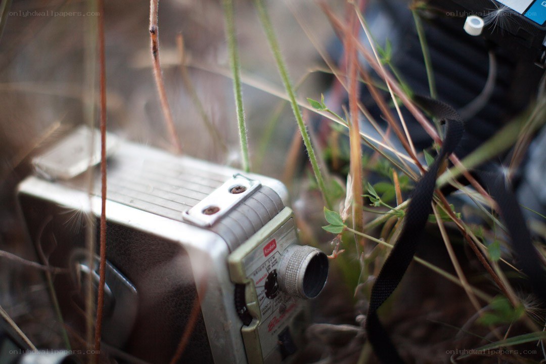 Vintage camera in grass