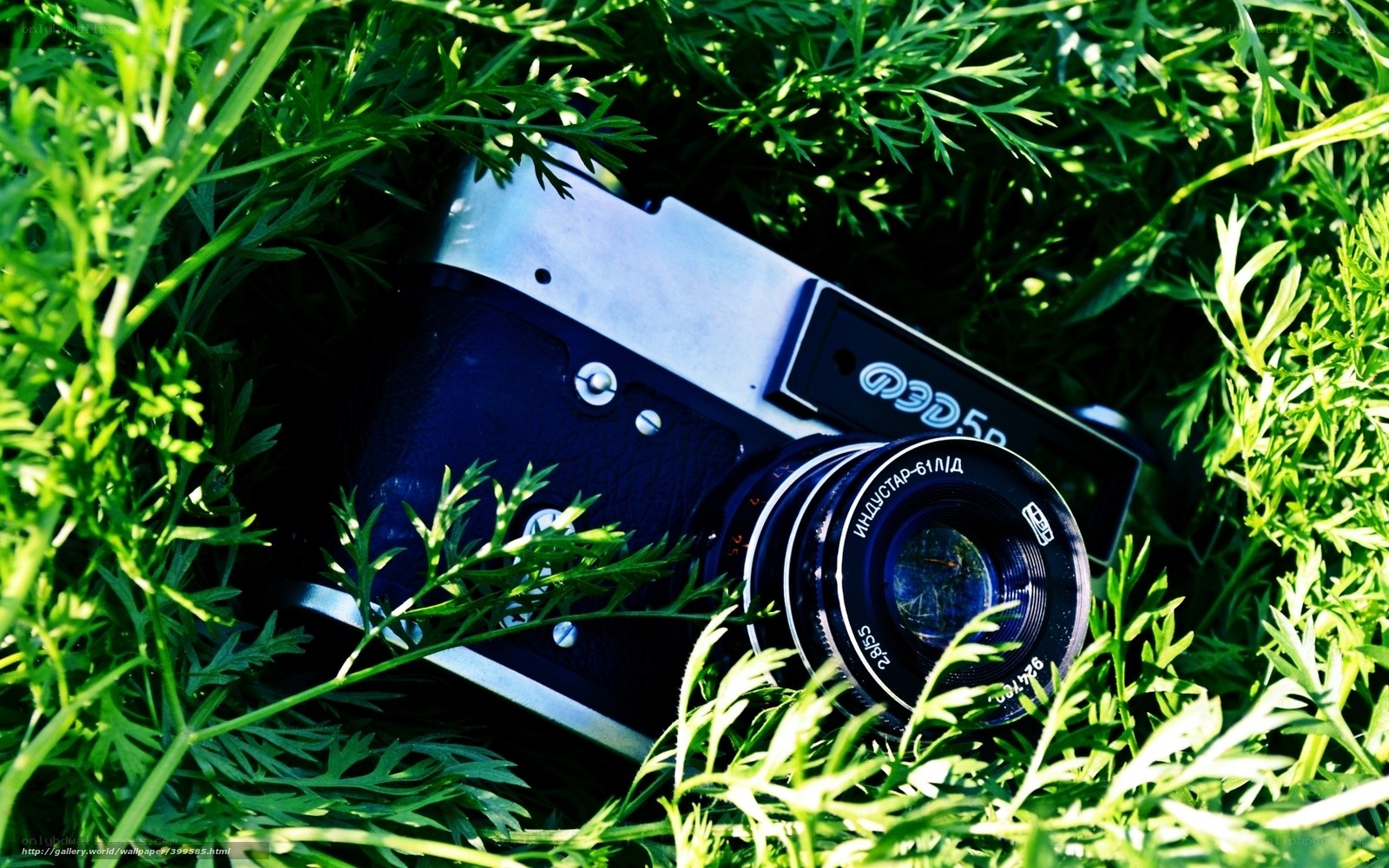 Vintage camera in green grass