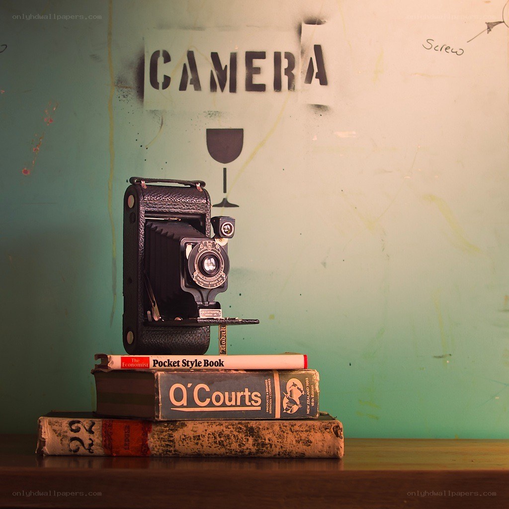 Vintage camera on books