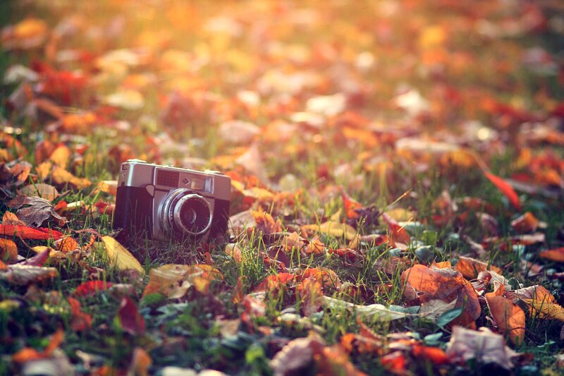 Vintage Camera on Grass