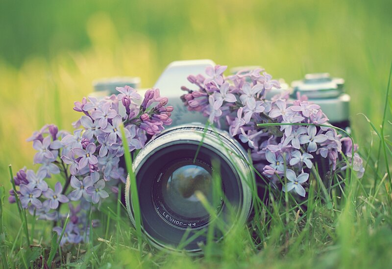 Vintage Camera with Flowers