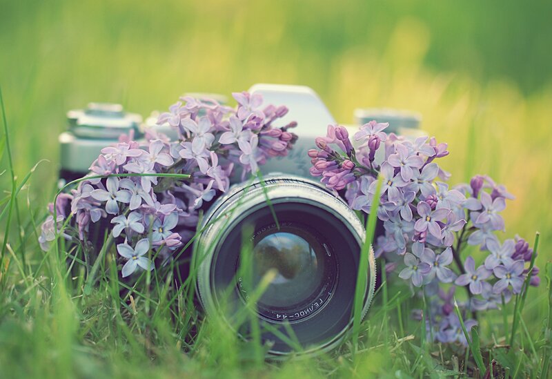 Vintage Camera with Lilacs — Green