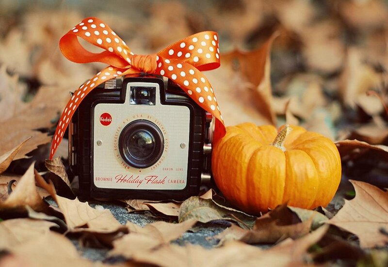 Vintage Camera with Pumpkin