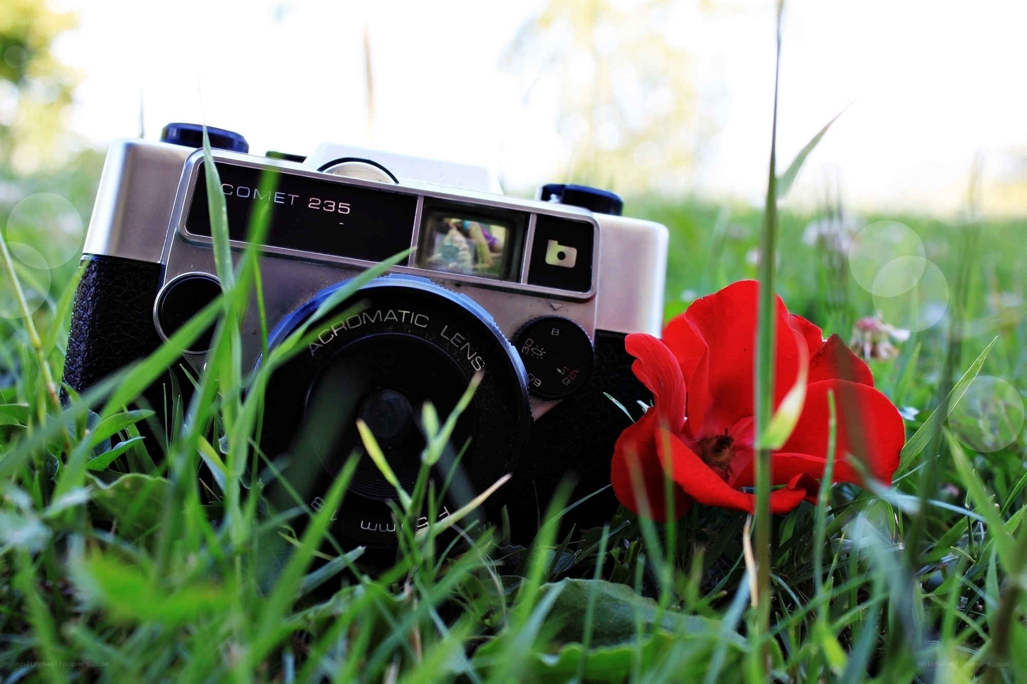 vintage camera with red flower